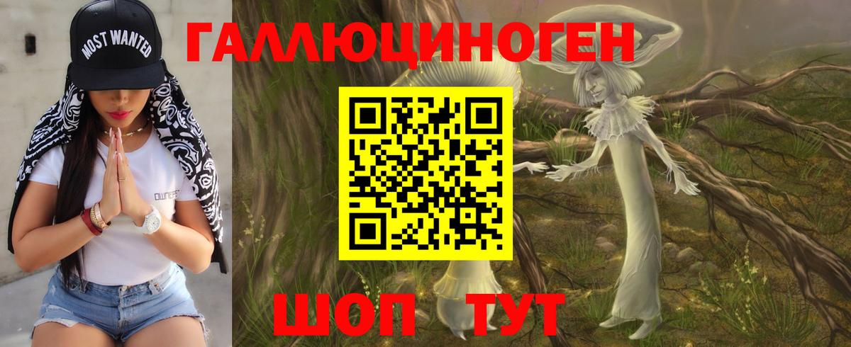 Псилоцибиновые грибы Cubensis  Вход с VPN  Верхняя Пышма 